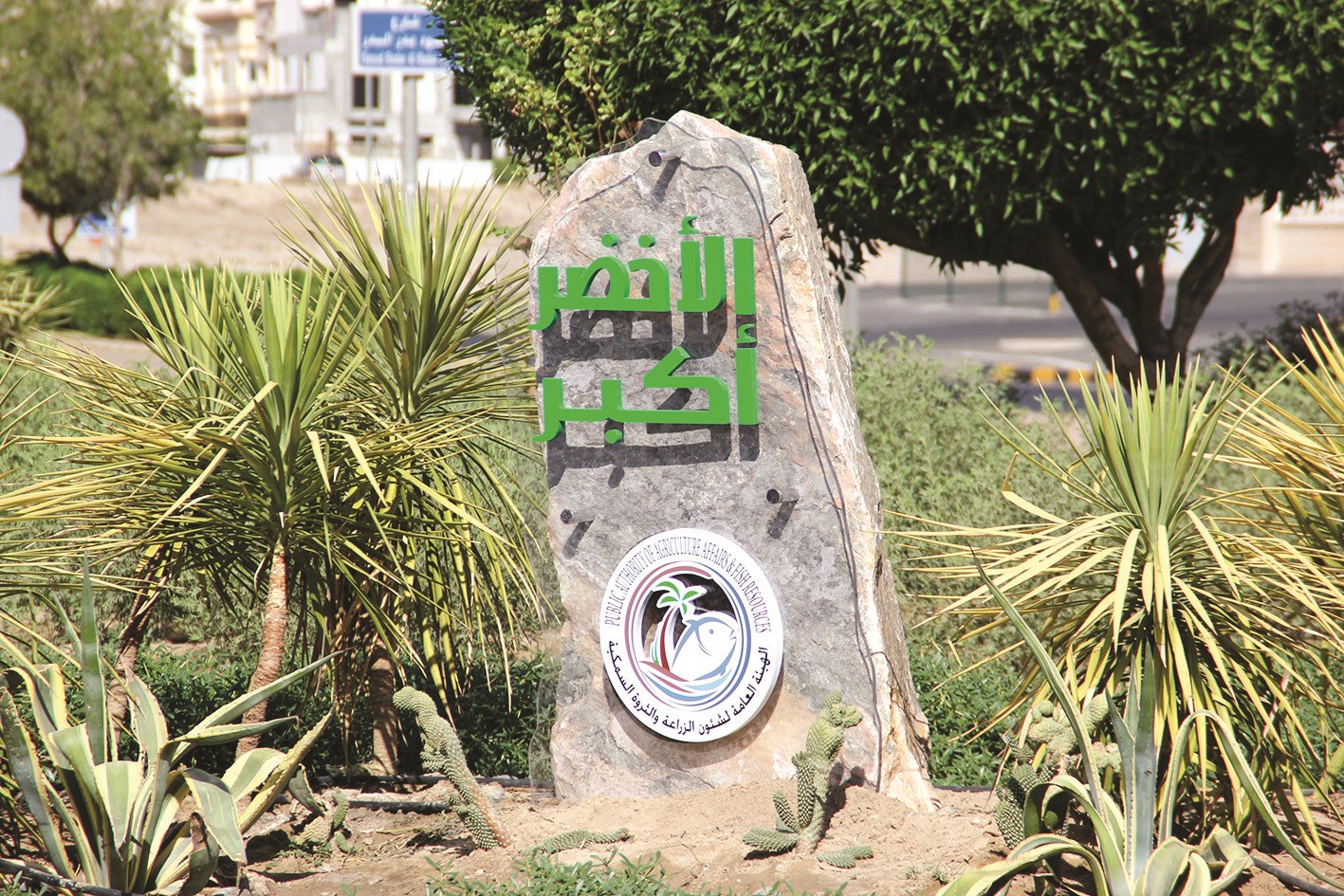 الصخرة بعد تجميلها