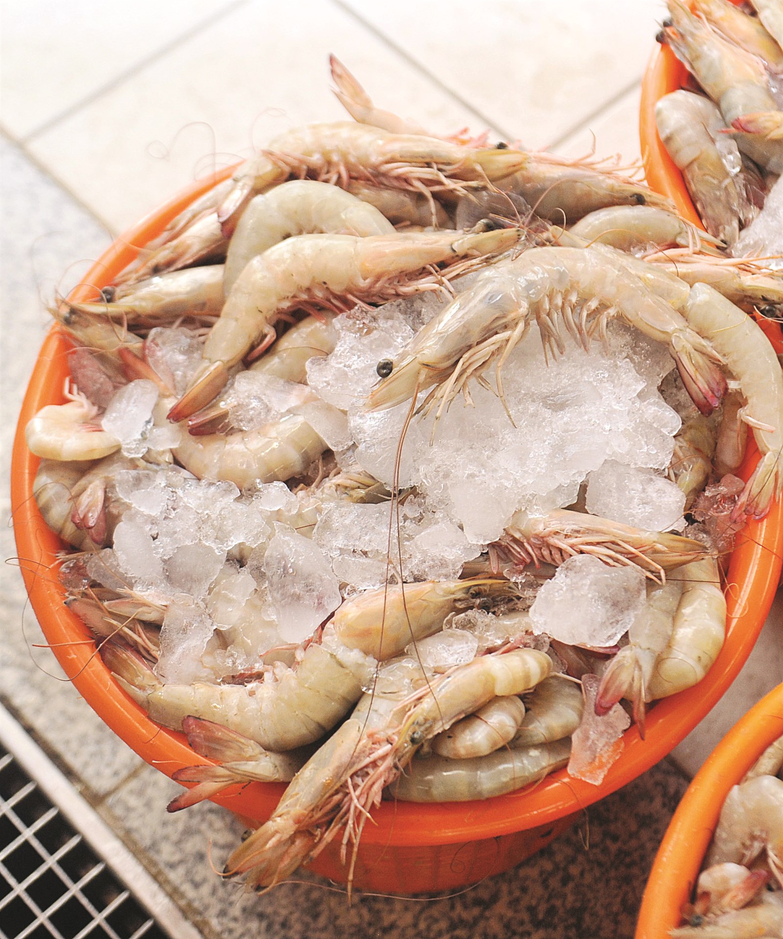 «ملك المائدة» عاد إلى السوق