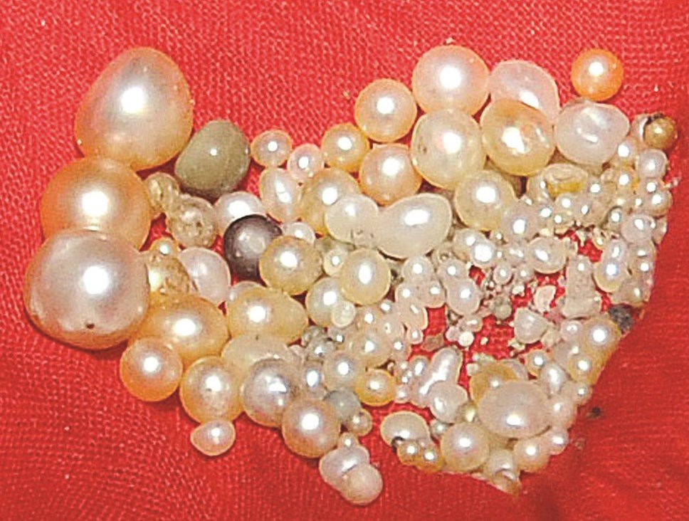 حبات لؤلؤ من حصيلة الغوص
