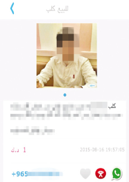 ...وآخر في «الحيوانات الأليفة»