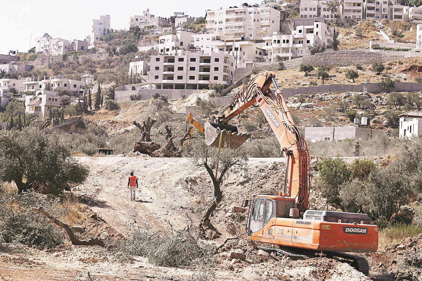 u062du0641u0627u0631u0629 u0625u0633u0631u0627u0626u064au0644u064au0629 u062au0642u062au0644u0639 u0634u062cu0631u0629 u0632u064au062au0648u0646 u0642u0631u0628 u0628u064au062a u0644u062du0645 (u0631u0648u064au062au0631u0632)