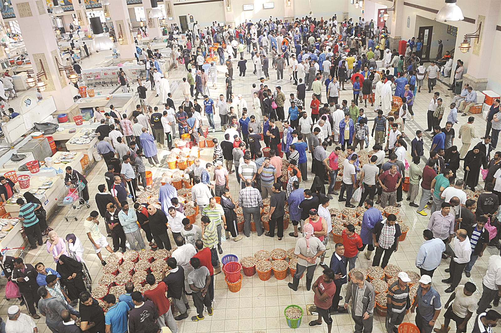 u0625u0642u0628u0627u0644 u0643u0628u064au0631 u0639u0644u0649 u0627u0644u0623u0633u0645u0627u0643 u0648u0627u0644u0631u0648u0628u064au0627u0646 u0631u063au0645 u0627u0631u062au0641u0627u0639 u0627u0644u0623u0633u0639u0627u0631   (u062au0635u0648u064au0631 u0643u0631u0645 u0630u064au0627u0628)