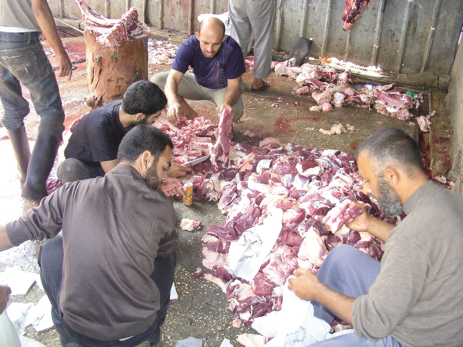 u062cu0627u0646u0628 u0645u0646 u062au0648u0632u064au0639 u0623u0636u0627u062du064a u0627u0644u0639u064au062f u0627u0644u0645u0627u0636u064a