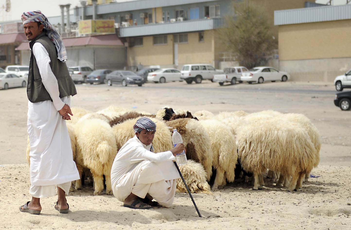 خارج أسوار سوق الغنم... سعر أقل وعلامات استفهام أكثر