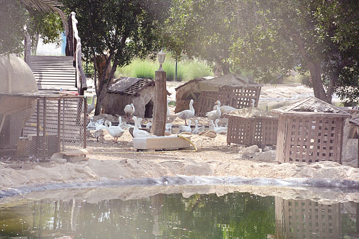 u0645u062du0645u064au0629 u0637u0628u064au0639u064au0629 u0641u064a u0641u064au0644u0643u0627