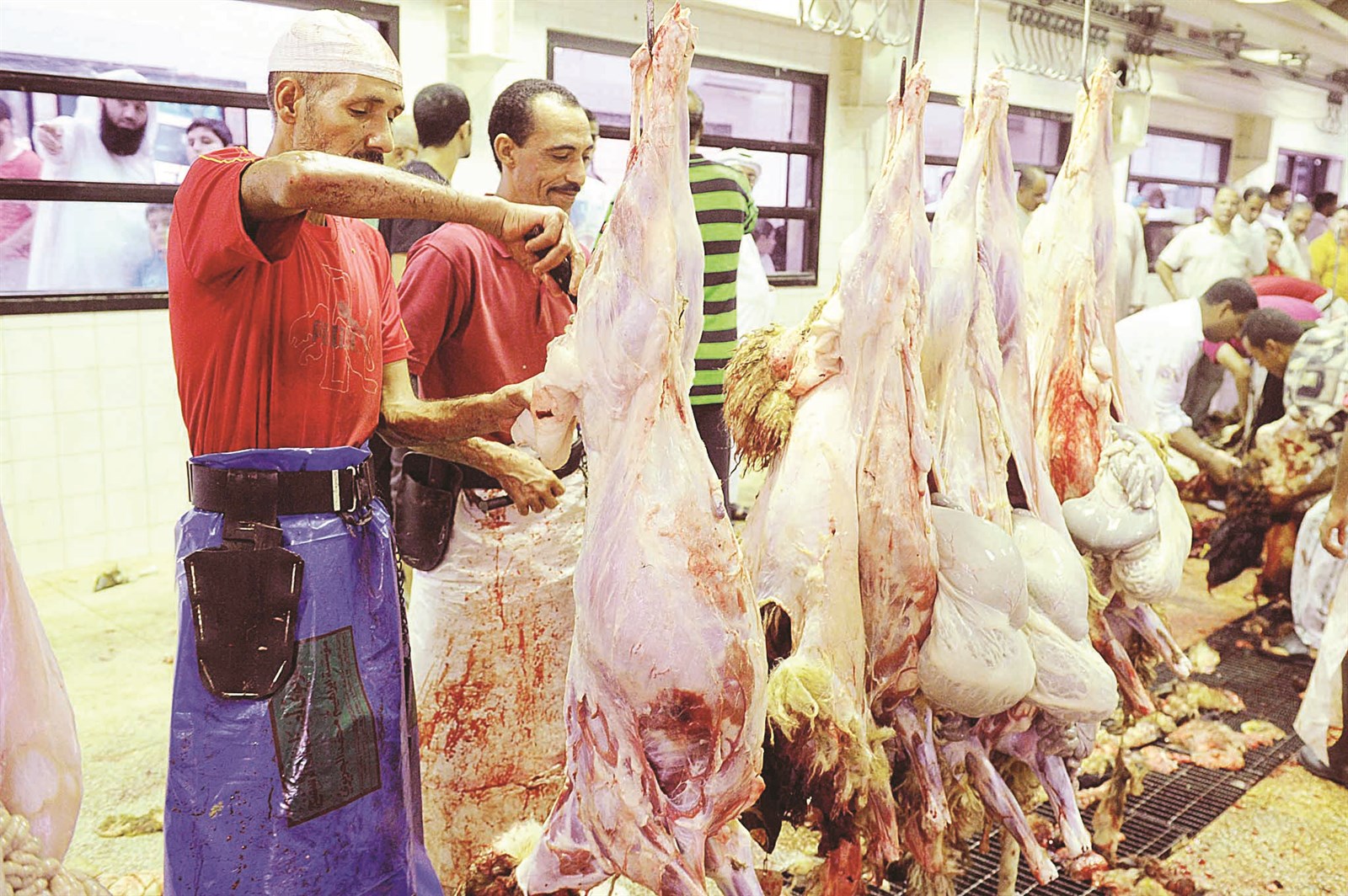 u0627u0644u0645u0633u0627u0644u062e u0644u0646 u062au0633u062au0648u0639u0628 u0645u0648u0633u0645 u0627u0644u0623u0636u0627u062du064a u0641u062au0648u062cu0647u062a u0627u0644u0628u0644u062fu064au0629 u0644u0625u0646u0634u0627u0621 u0645u0633u0627u0644u062e u0645u0648u0642u062au0629