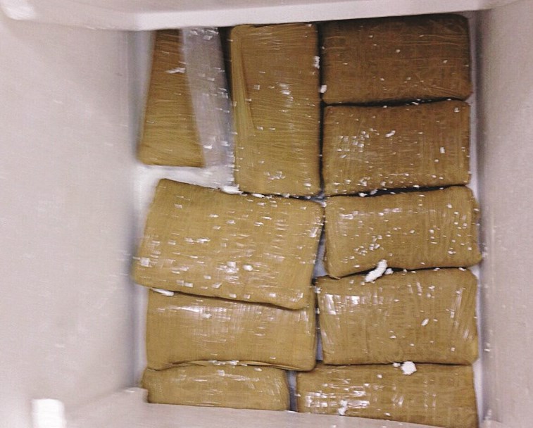 u0627u0644u0645u0636u0628u0648u0637u0627u062a