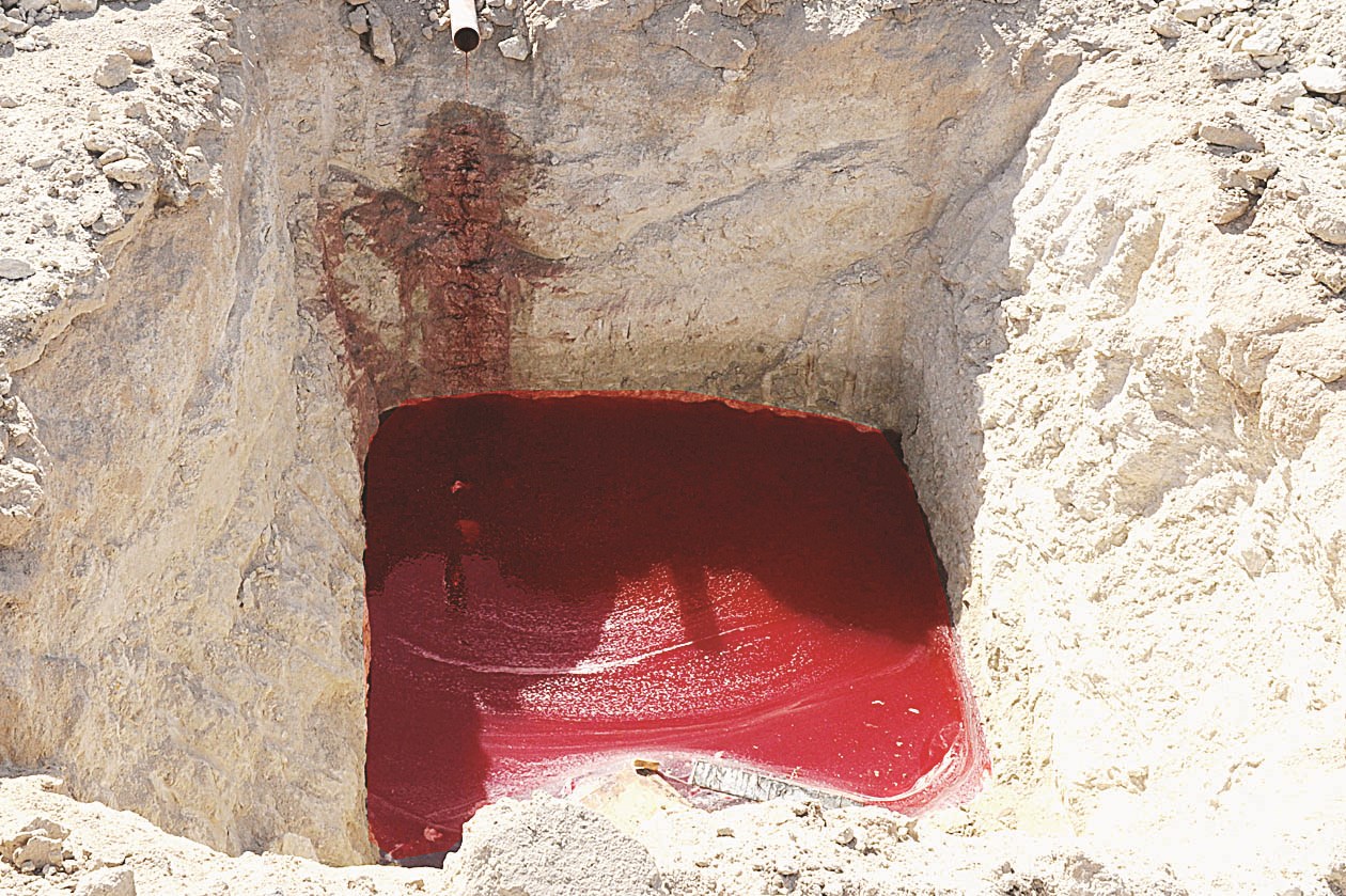 حفر تجميع دماء الأضاحي

(تصوير زكريا عطية)