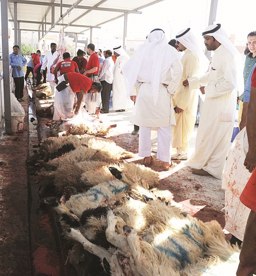 الأضاحي في مسلخ الزهراء والسلام الموقت