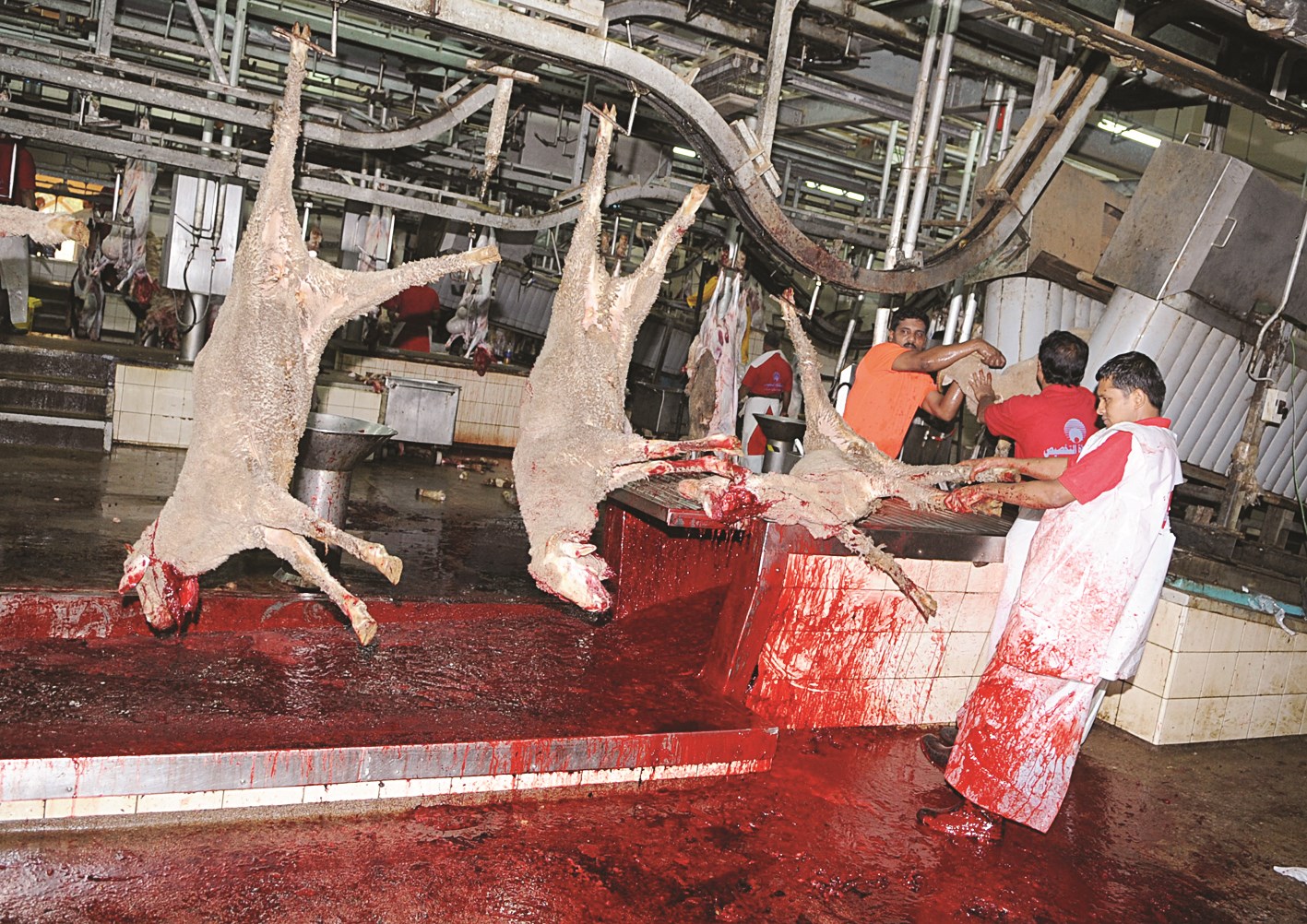 مسلخ السالمية