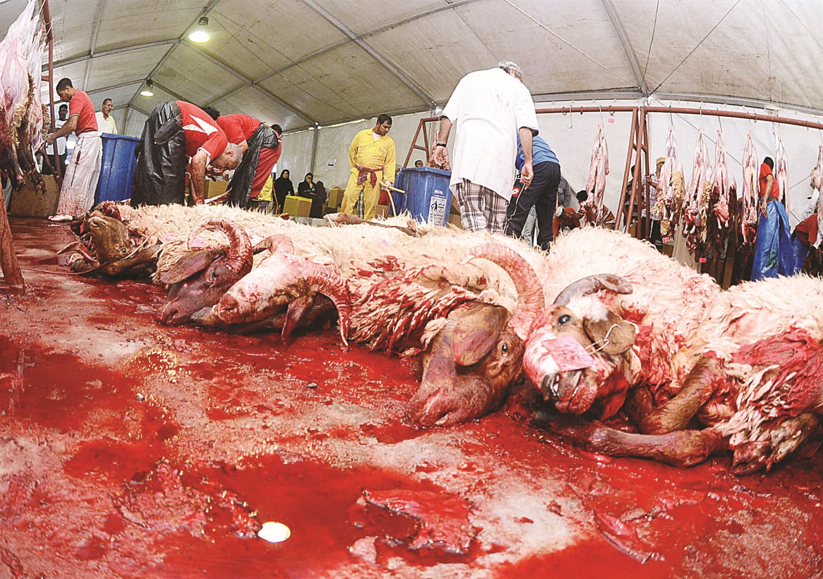 u0627u0644u0645u0633u0627u0644u062e u0627u0644u0645u0648u0642u062au0629... u0641u064a u0627u062eu062au0628u0627u0631u0647u0627 u0627u0644u0623u0648u0644 (u062au0635u0648u064au0631 u0623u0633u0639u062f u0639u0628u062fu0627u0644u0644u0647)