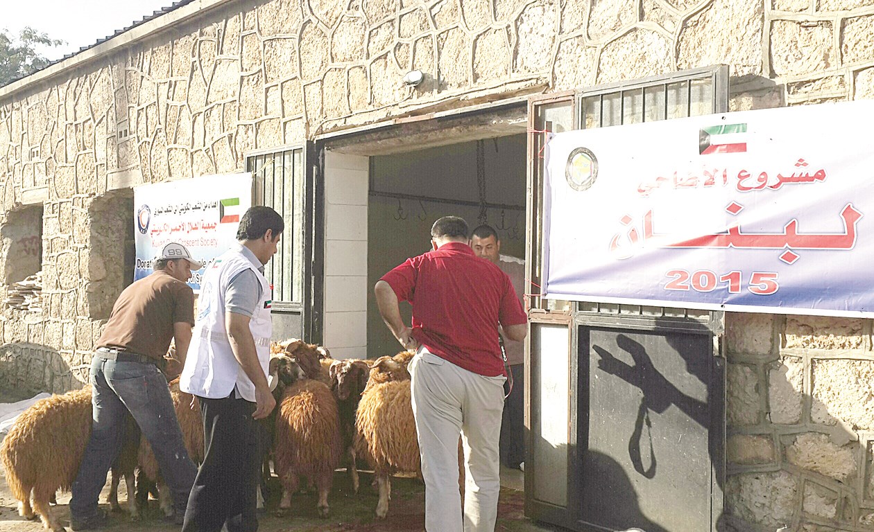 u0623u0636u0627u062du064a u0627u0644u062cu0645u0639u064au0629 u0641u064a u0637u0631u064au0642u0647u0627 u0625u0644u0649 u0627u0644u0630u0628u062d