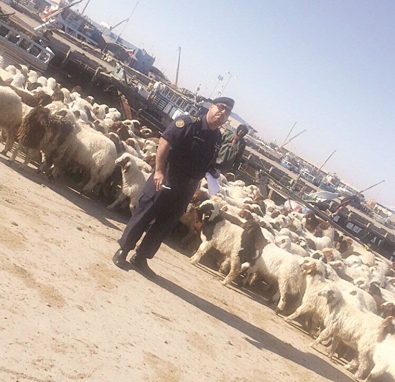 u0627u0644u0623u063au0646u0627u0645 u0627u0644u0625u064au0631u0627u0646u064au0629 u0641u064a u0645u064au0646u0627u0621 u0627u0644u062fu0648u062du0629