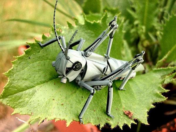 u0635u0648u0631u0629 u062au0639u0628u064au0631u064au0629 