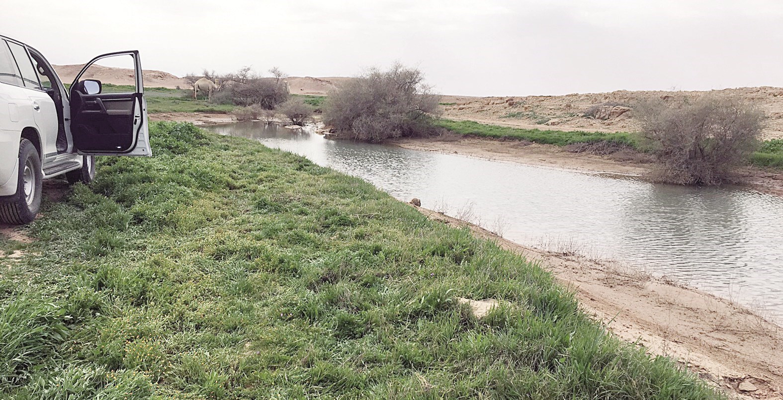 u0628u0633u0627u0637 u0623u062eu0636u0631