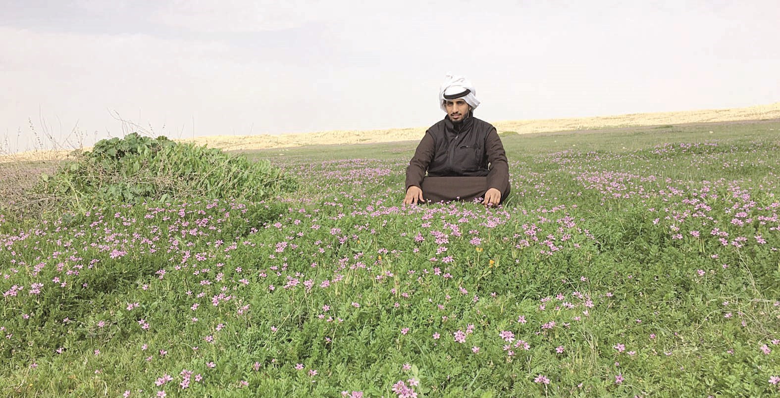 جلسة بين الطبيعة