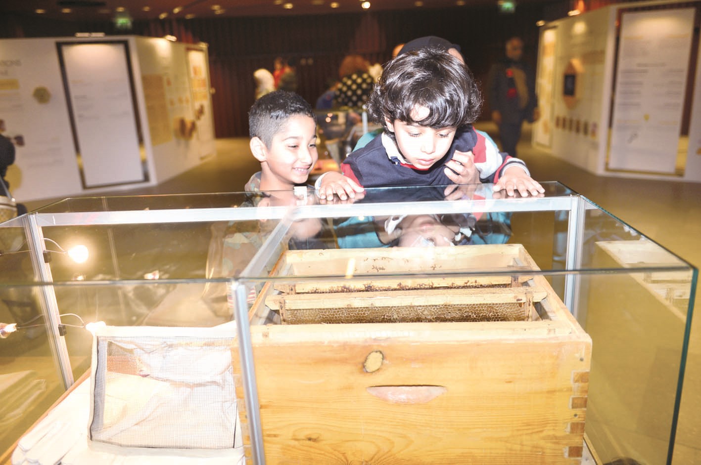 طفلان يتعرفان على خلية نحل من خلال معرض «لوياك»