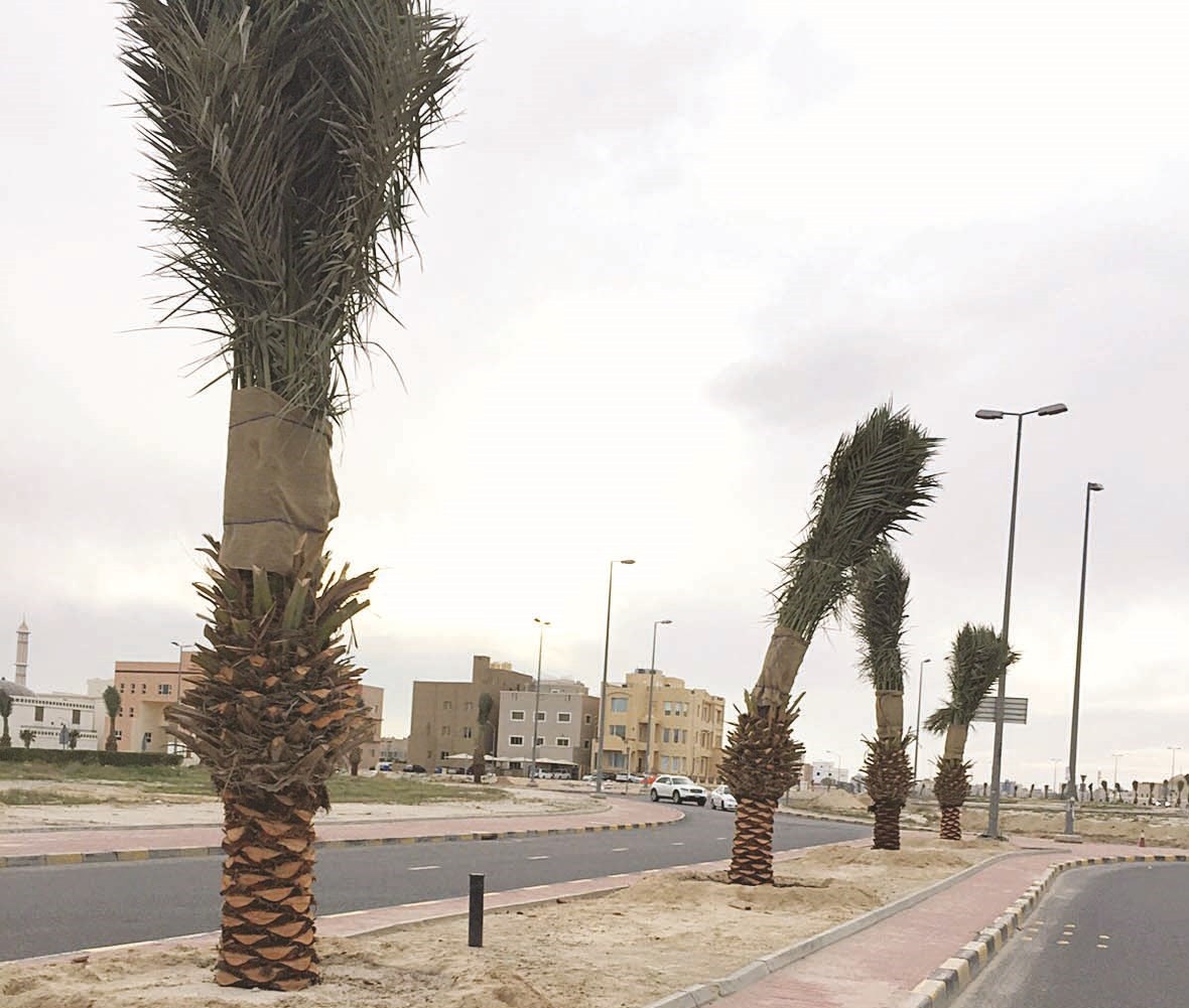 u0623u062du062f u0634u0648u0627u0631u0639 u0645u0646u0637u0642u0629 u0627u0644u0635u062fu064au0642 u0628u0639u062f u0627u0644u062au0637u0648u064au0631