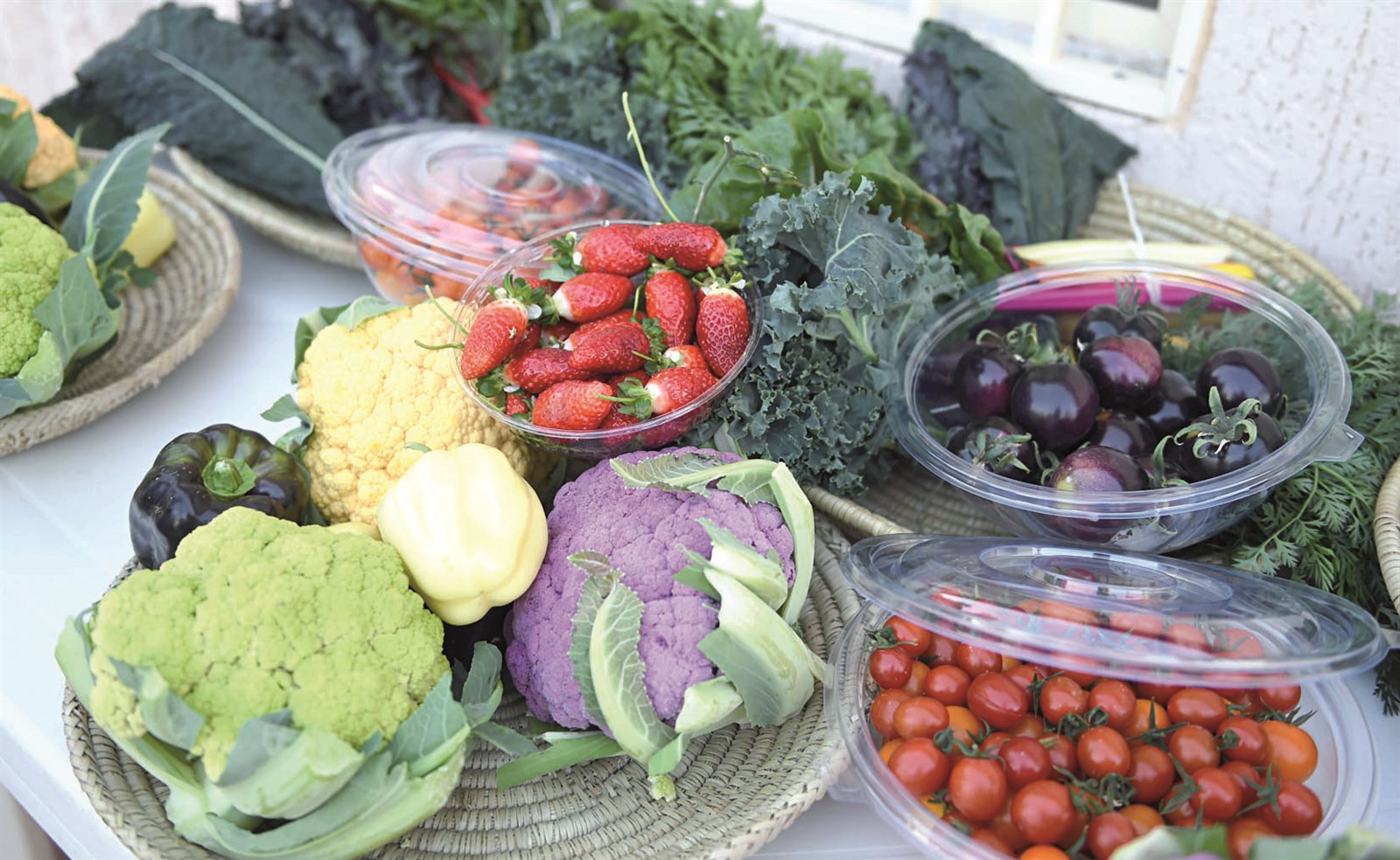 u0623u0644u0648u0627u0646 u0648u0623u0646u0648u0627u0639 u0645u062au0639u062fu062fu0629 u0645u0646 u0627u0644u0645u0646u062au062cu0627u062a u0627u0644u0646u0627u062fu0631u0629 (u062au0635u0648u064au0631 u062cu0627u0633u0645 u0628u0627u0631u0648u0646)