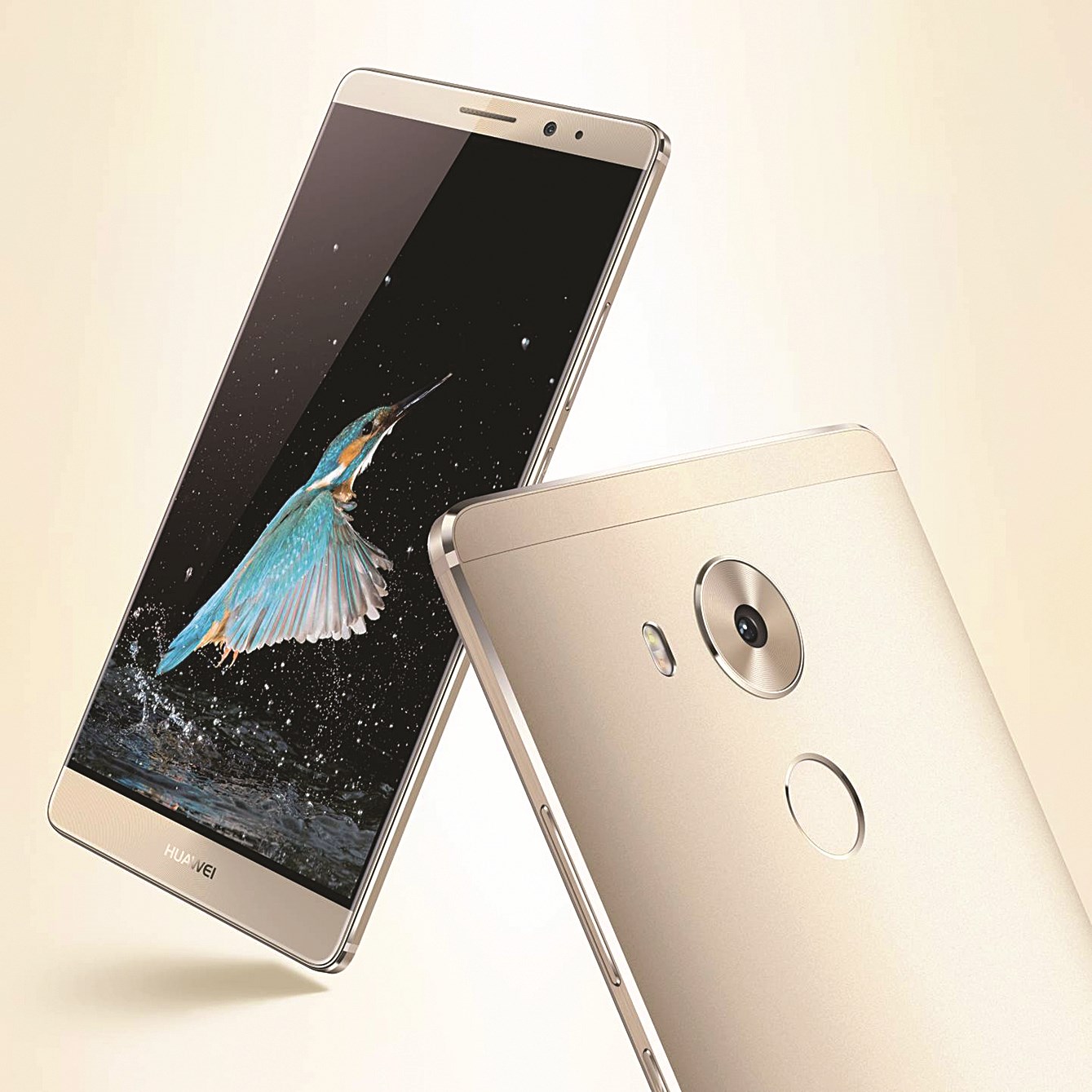 «Mate 8» ... مناسب لجميع الفئات