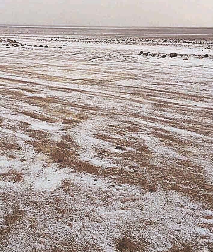 ... بيضها الزائر الأوروبي