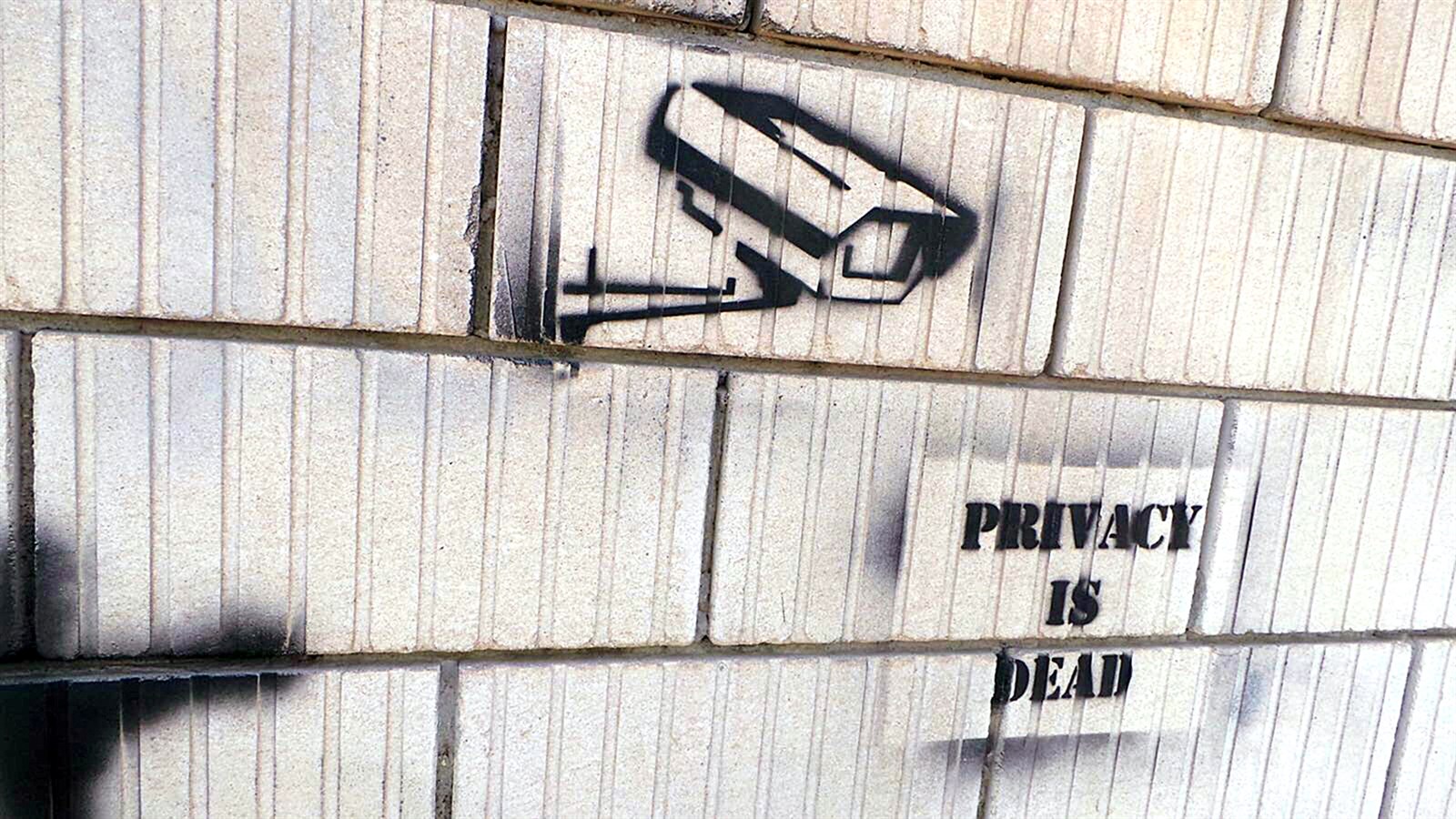 u0627u0644u062cu062fu0631u0627u0646 ... u0635u0641u062du0627u062a u0628u064au0636u0627u0621 u0644u0644u0625u0628u062fu0627u0639