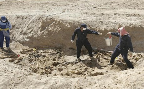 u0623u0631u0634u064au0641u064au0629