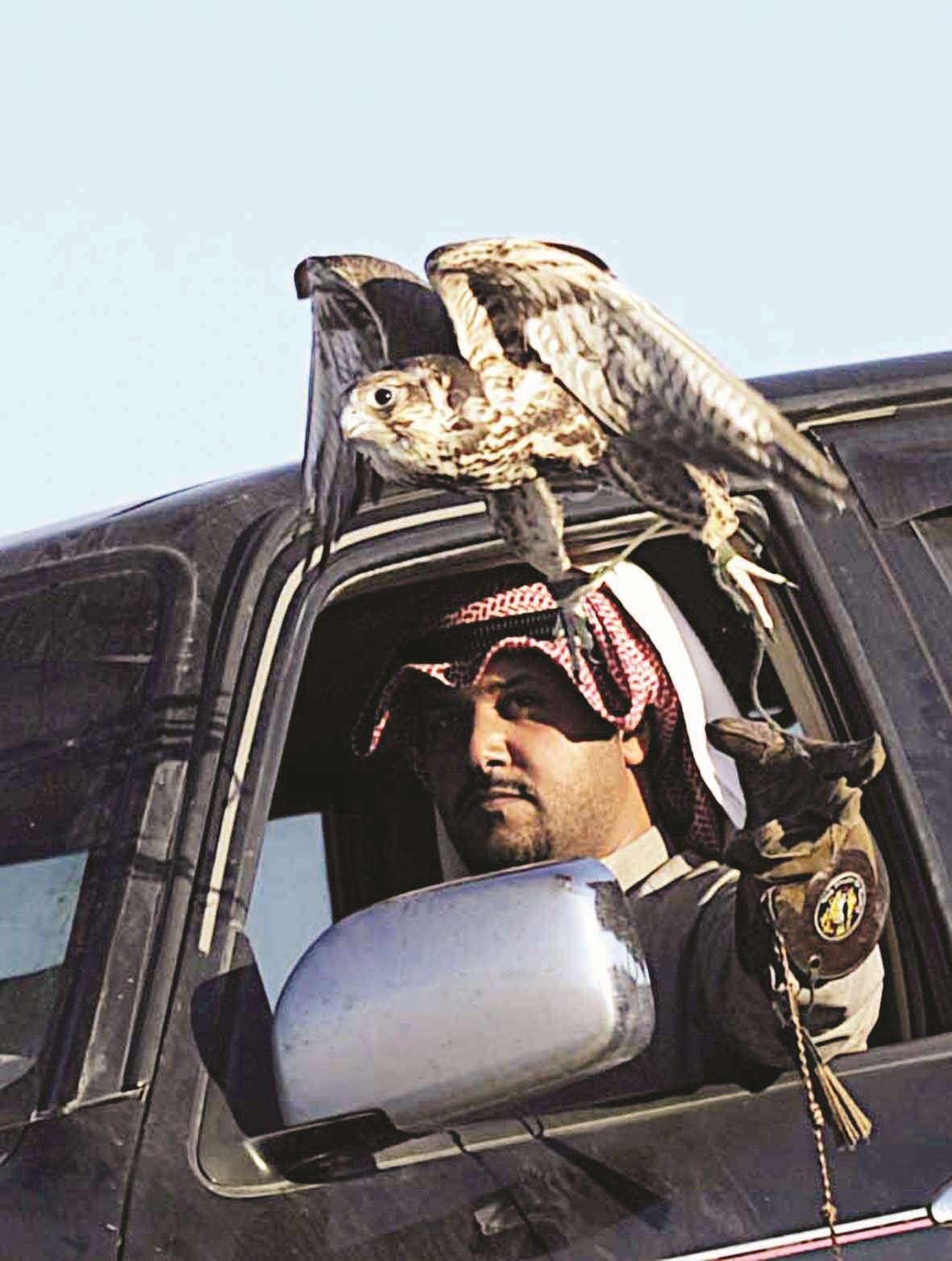 توثب... ومراقبة