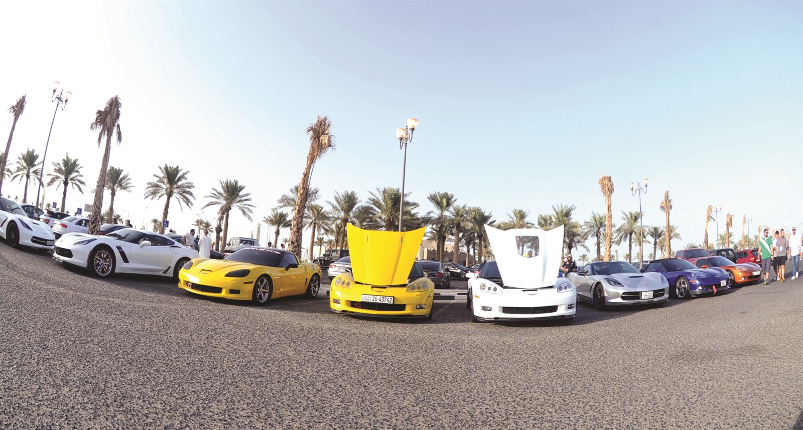 عرض للسيارات قبل بدء المسيرة