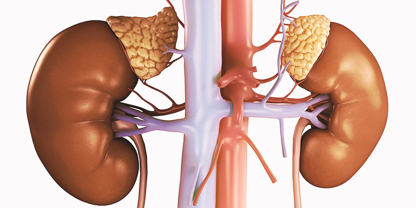 u062au0635u0645u064au0645 u062au0634u0628u064au0647u064a u064au0628u064au0646 u0645u0648u0636u0639 u0627u0644u063au062fu062au064au0646 u0627u0644u0643u0638u0631u064au062au064au0646 u0641u0648u0642 u0627u0644u0643u0644u064au062au064au0646