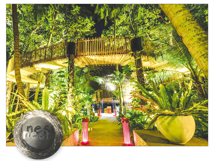 «العش» المشيد بين أغصان «تبيانا»