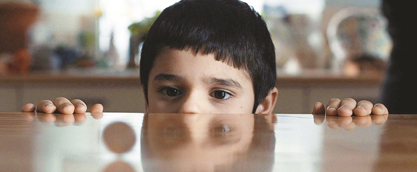 «ضيف خاص» يمثل كردستان العراق