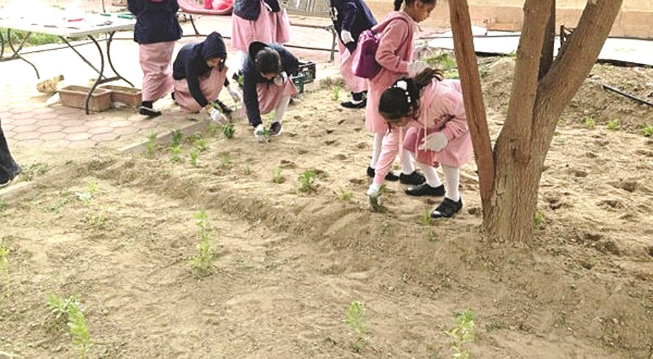 زراعة الحدائق المدرسية بواسطة فريق النشاط