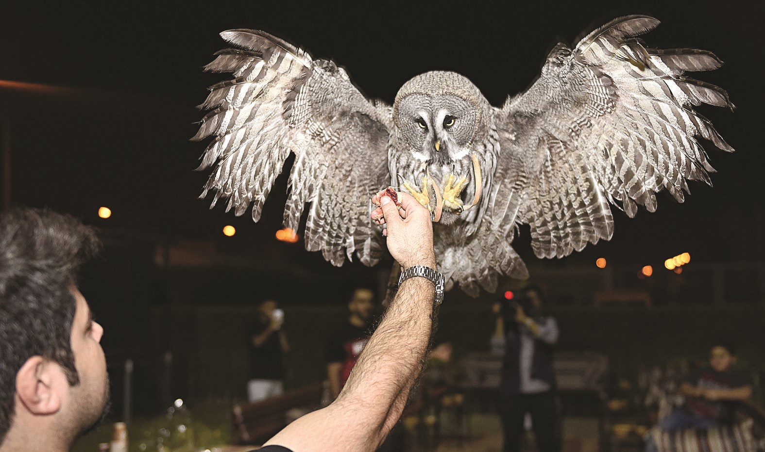 u0642u0648u0629 u0648u0634u0631u0627u0633u0629 (u062au0635u0648u064au0631 u062cu0627u0633u0645 u0628u0627u0631u0648u0646)