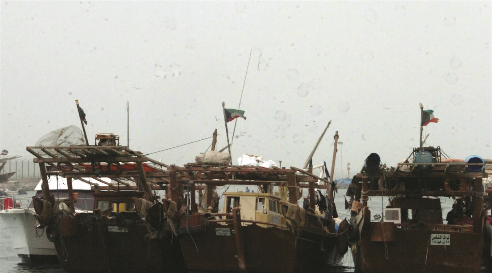 u0646u0642u0639u0629 u0627u0644u0634u0645u0644u0627u0646 u0641u064a u0645u0648u0627u062cu0647u0629 u0645u0648u062cu0629 u0627u0644u063au0628u0627u0631 (u062au0635u0648u064au0631 u0632u0643u0631u064au0627 u0639u0637u064au0629)