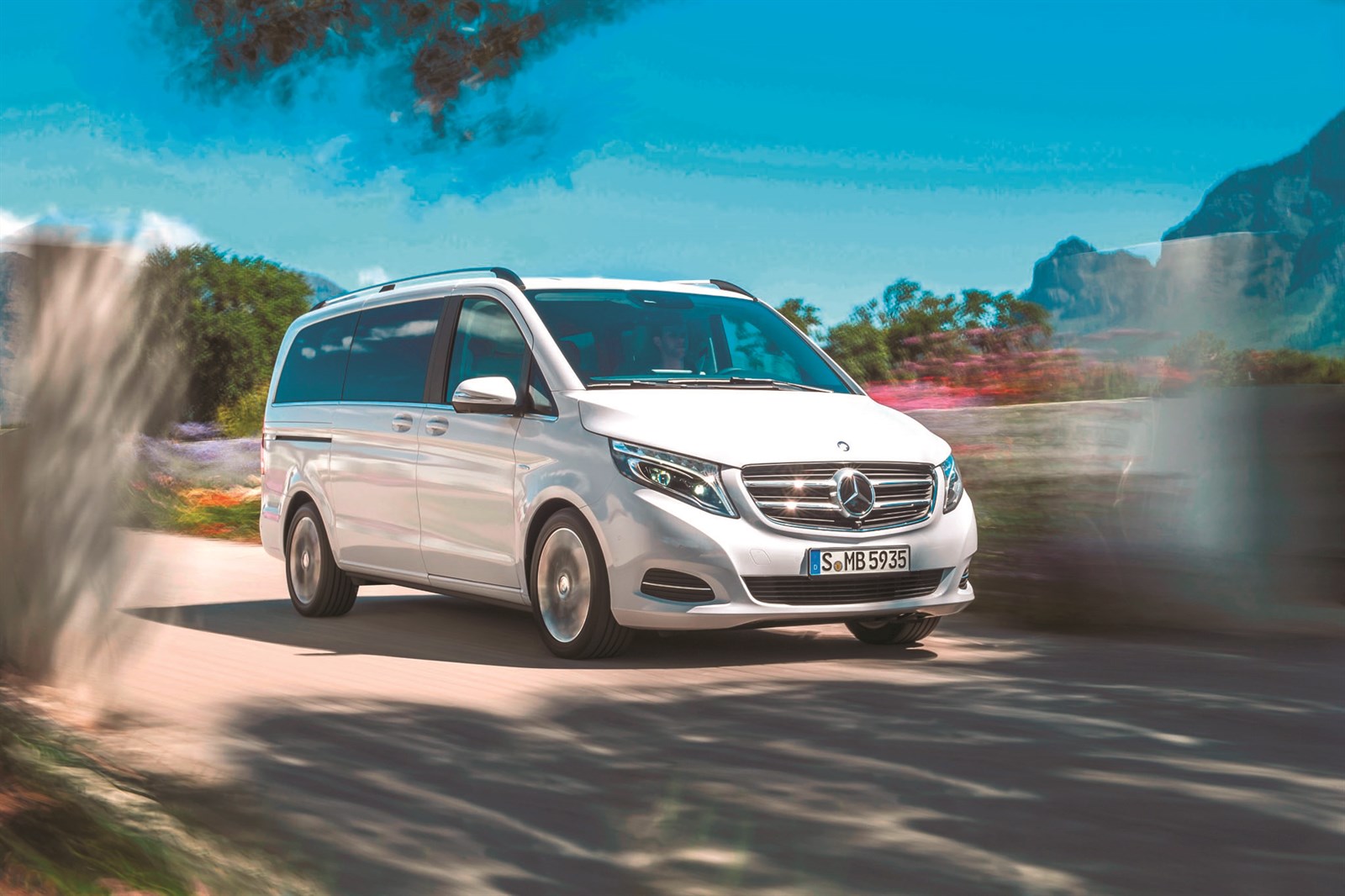 الوافد الجديد إلى سوق السيارات المحلي