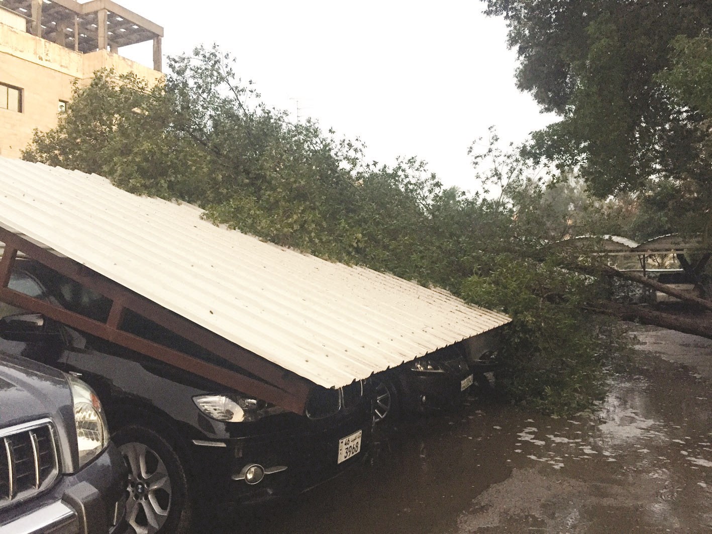 سقوط أشجار ومظلات في الجابرية (تصوير فادي حمزة)
