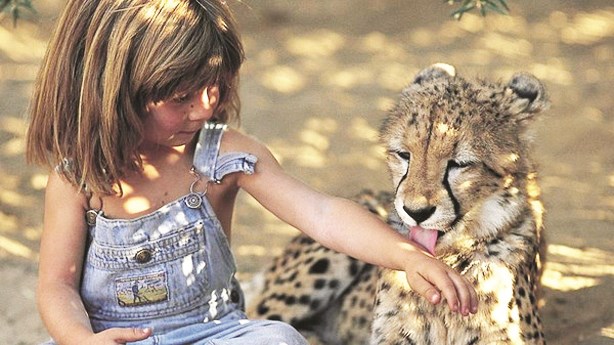 u062au064au0628u064a u062au0644u0627u0639u0628 u0646u0645u0631u0627u064b