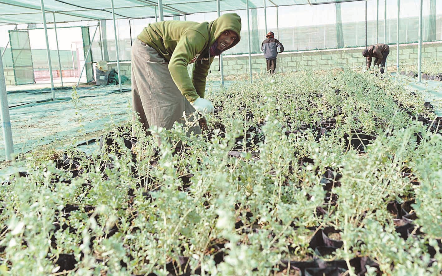 مزارعون متخصصون