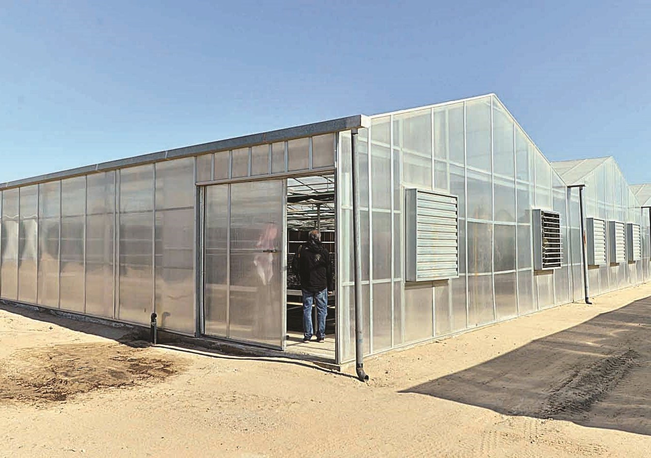 محميات مزودة بالتكنولوجيا الحديثة لزراعة النباتات الفطرية