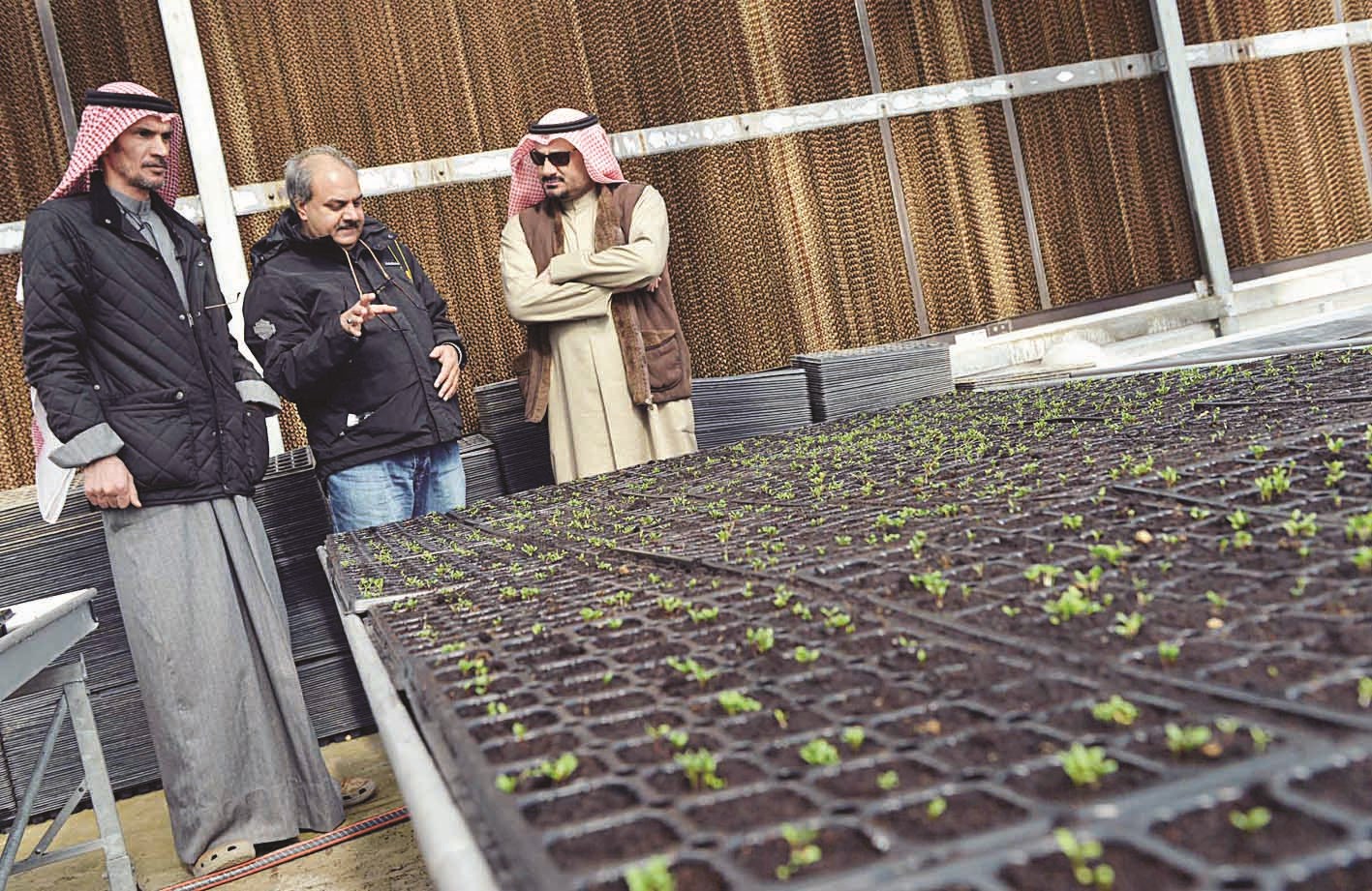 u0634u0628u064au0631 u064au0634u0631u062d u0644u0644u0632u0645u064au0644 u0646u0627u0635u0631 u0627u0644u0641u0631u062du0627u0646 u0643u064au0641u064au0629 u0632u0631u0627u0639u0629 u0627u0644u0628u0630u0648u0631 u0628u062du0636u0648u0631 u0641u0644u0627u062d u0627u0644u0635u0644u064au0644u064a