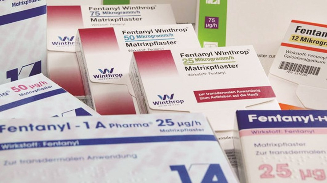 u0645u0633u0643u0646 u00abu0627u0644u0641u064au0646u062au0627u0646u064au0644u00bb