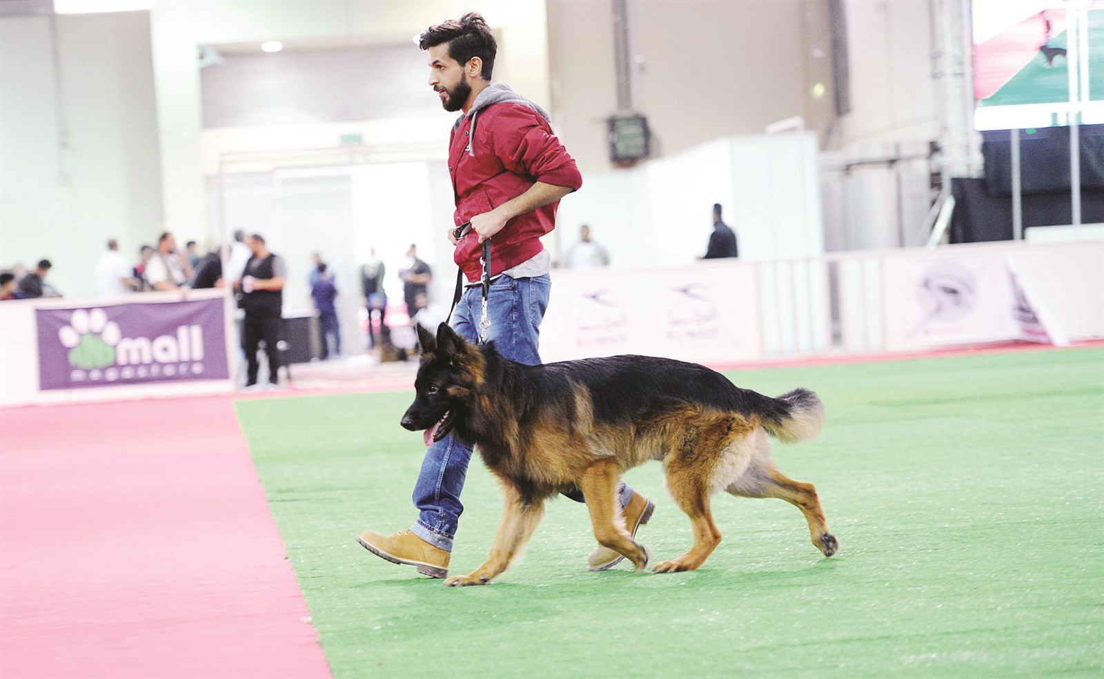 على حلبة السباق