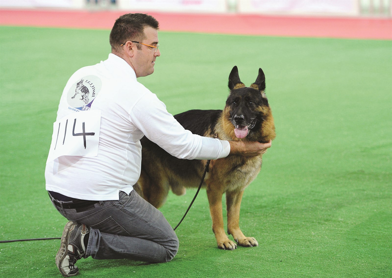 اثناء العرض