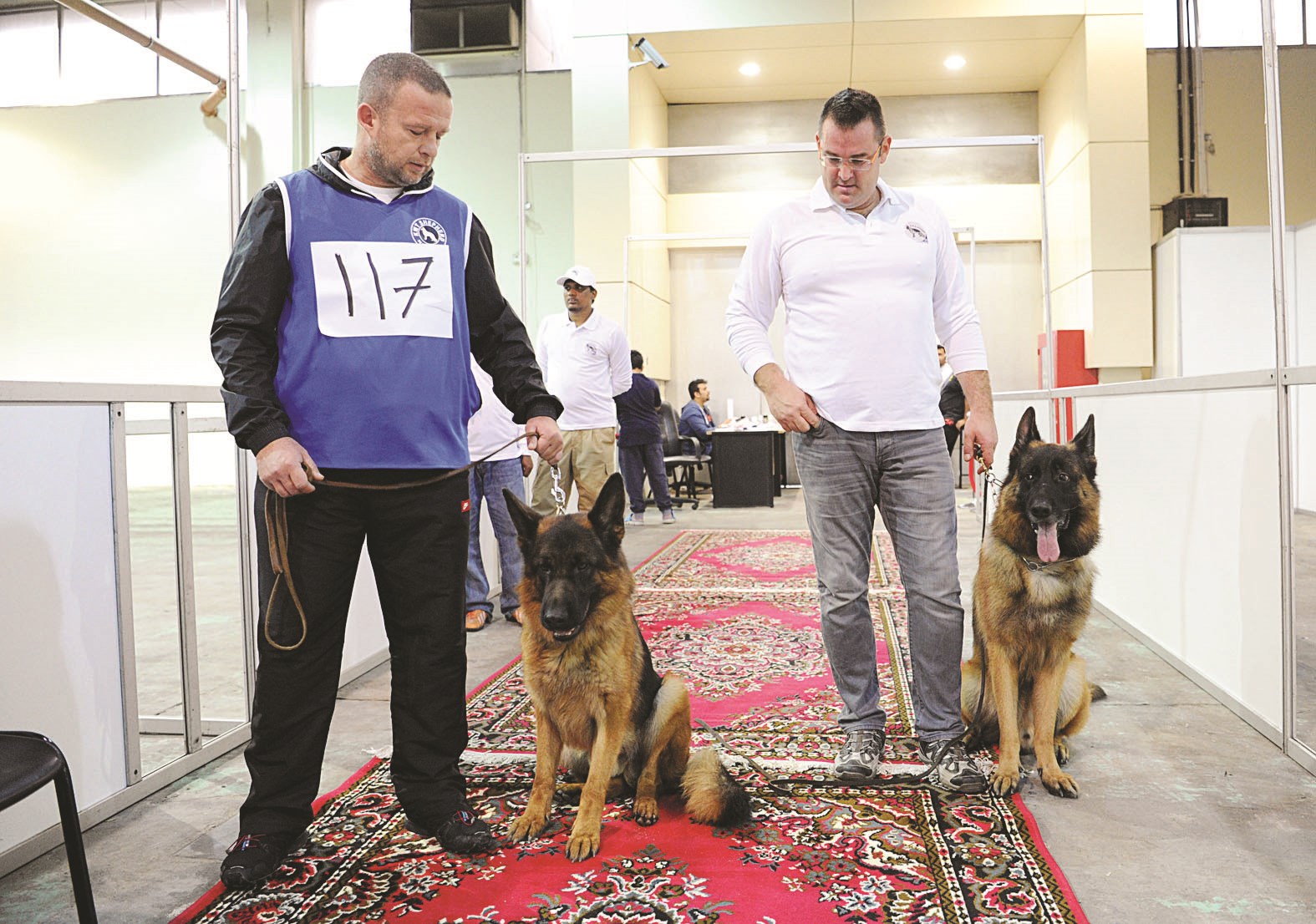 تنافس  (تصوير طارق عز الدين)