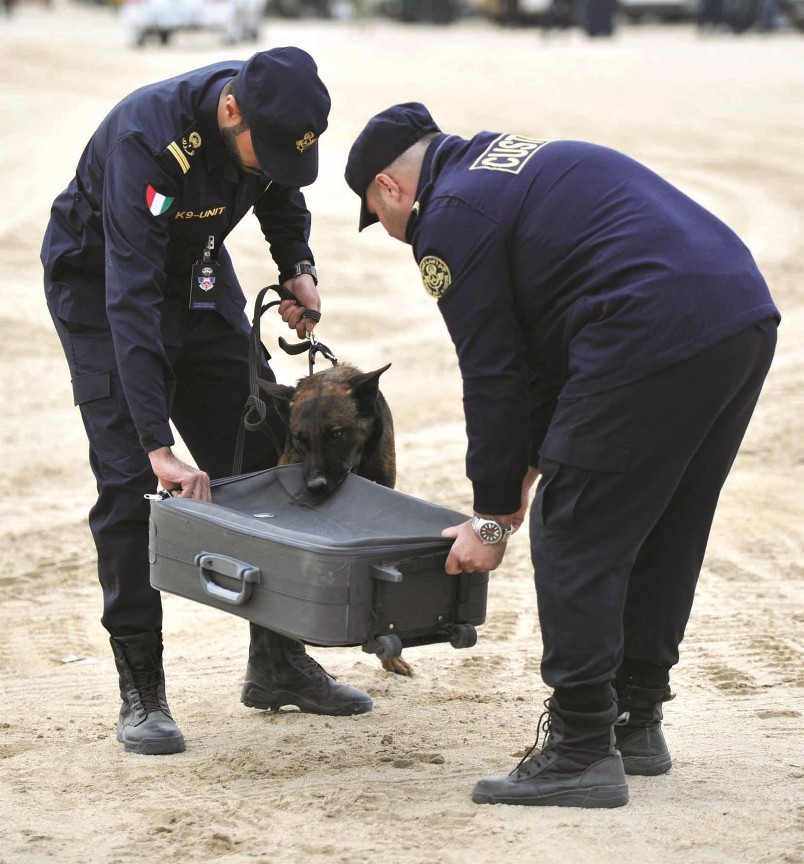 كلاب الأثر تفحص إحدى الحقائب