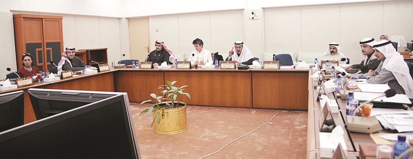 u0627u062cu062au0645u0627u0639 u0627u0644u0644u062cu0646u0629 u0627u0644u0645u0627u0644u064au0629  (u062au0635u0648u064au0631 u0646u0627u064au0641 u0627u0644u0639u0642u0644u0629)