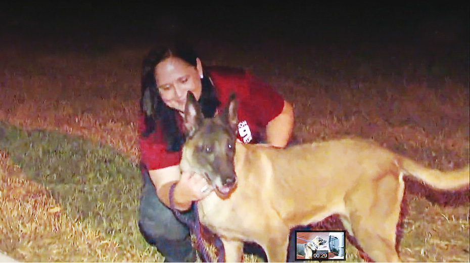 u0625u0639u0627u062fu0629 u062au0623u0647u064au0644 u0648u062fu0645u062c