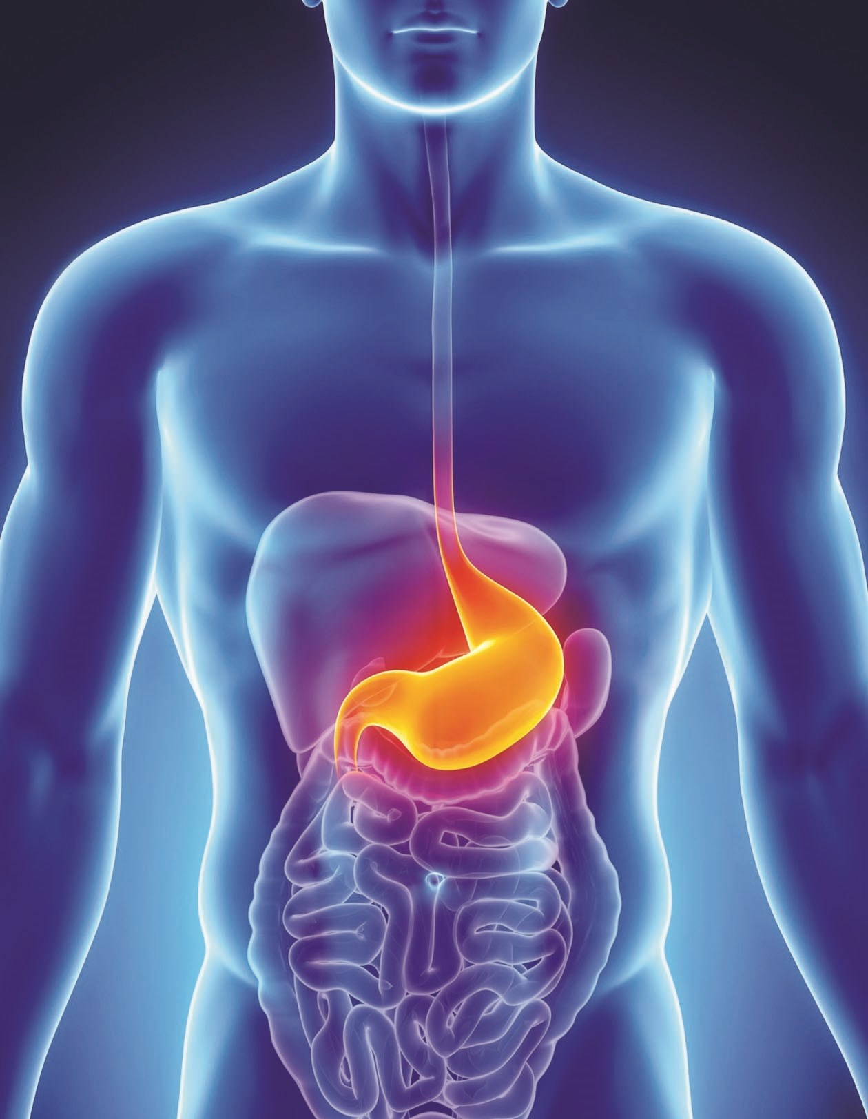 u0627u0644u0627u0631u062au062cu0627u0639 u0627u0644u0645u0631u064au0626u064a u0645u0634u0643u0644u0629 u0634u0627u0626u0639u0629 (u0648u0641u064a u0627u0644u0623u0633u0641u0644 u0631u0633u0645 u062au0634u0631u064au062du064a u064au0648u0636u062d u0625u0644u0649 u0627u0644u064au0645u064au0646 u0645u0631u064au0621 u0635u0645u0627u0645u0647 u0645u0631u062au062e u0648u0625u0644u0649 u0627u0644u064au0633u0627u0631 u0645u0631u064au0621 u0635u0645u0627u0645u0647 u0633u0644u064au0645)