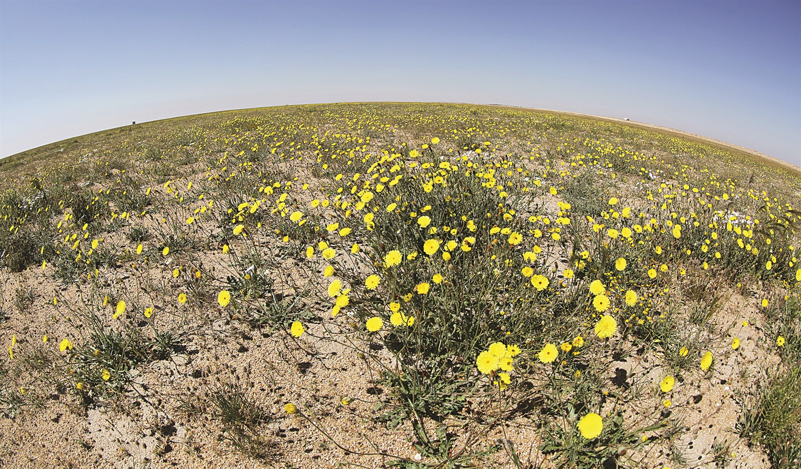 u0645u0646u0638u0631 u0639u0627u0645 u0644u0645u062du0645u064au0629 u0627u0644u0644u064au0627u062d